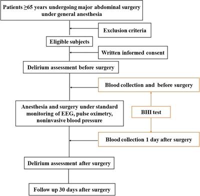 Efficacy of Bioenergetic Health Index to Predict Delirium After Major Abdominal Surgery in Elderly Patients: A Protocol for a Prospective Observational Cohort Study